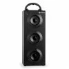 Auna Multimedia [second Choix] Beachboy XXL Enceinte Bluetooth -Audio-et-HiFi Soldes 10022732 yy 0001 titel oneConcept HIFI Subwoofer Speaker black