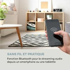 Auna Radios Numériques Micro-chaîne Stéréo Harvard DAB+ -Audio-et-HiFi Soldes 10031949 fr 0004 logo