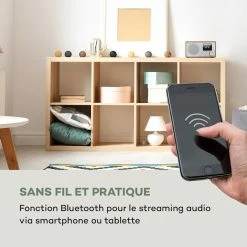 Auna Radios Internet Wifi Silver Star Mini Radio Internet -Audio-et-HiFi Soldes 10032791 fr 0005 logo