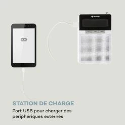 Auna Radios Numériques DigiPlug DAB Radio Prise De Courant -Audio-et-HiFi Soldes 10032857 fr 0004 logo