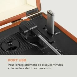 Auna Platines Retro Jerry Lee BT Platine Vinyle -Audio-et-HiFi Soldes 10032869 fr 0005 logo