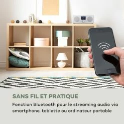 Auna Radios Internet Wifi Silver Star Stereo Radio Internet -Audio-et-HiFi Soldes 10032917 fr 0005 logo