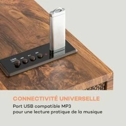 Auna Multimedia Verticalo SE Platine Vinyle Rétro BT -Audio-et-HiFi Soldes 10034589 fr 0003 logo