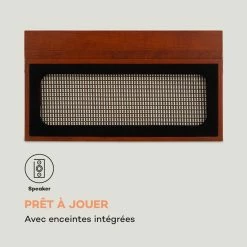 Auna Platines Retro Sarah Ann Platine Vinyle -Audio-et-HiFi Soldes 10035389 fr 0006 logo