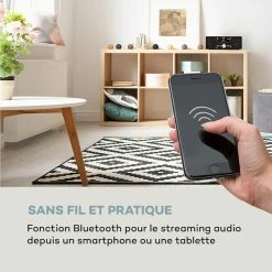 Auna Radios Numériques Micro-chaîne Stéréo Harvard DAB+ -Audio-et-HiFi Soldes 10038354 fr 0005 logo