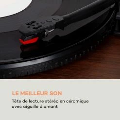 Auna Multimedia Platine Vinyle TT-Play SE -Audio-et-HiFi Soldes 10038633 fr 0006 logo