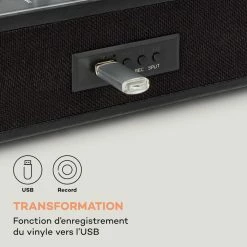 Auna Multimedia Platine Vinyle TT-Classic Plus -Audio-et-HiFi Soldes 10038692 fr 0005 logo