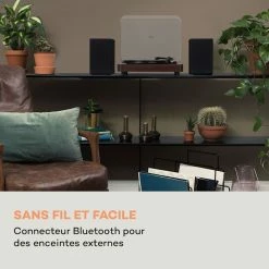 Auna Multimedia Platine Vinyle TT-Classic Light -Audio-et-HiFi Soldes 10038898 fr 0003 logo