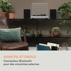 Auna Multimedia Platine Vinyle TT-Classic Light -Audio-et-HiFi Soldes 10038900 fr 0003 logo