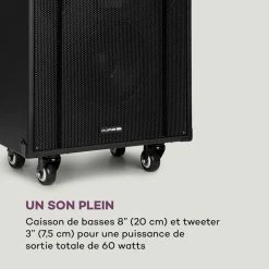 Auna Multimedia Système Karaoké Pro Spin 10 -Audio-et-HiFi Soldes 10040307 fr 0006 logo